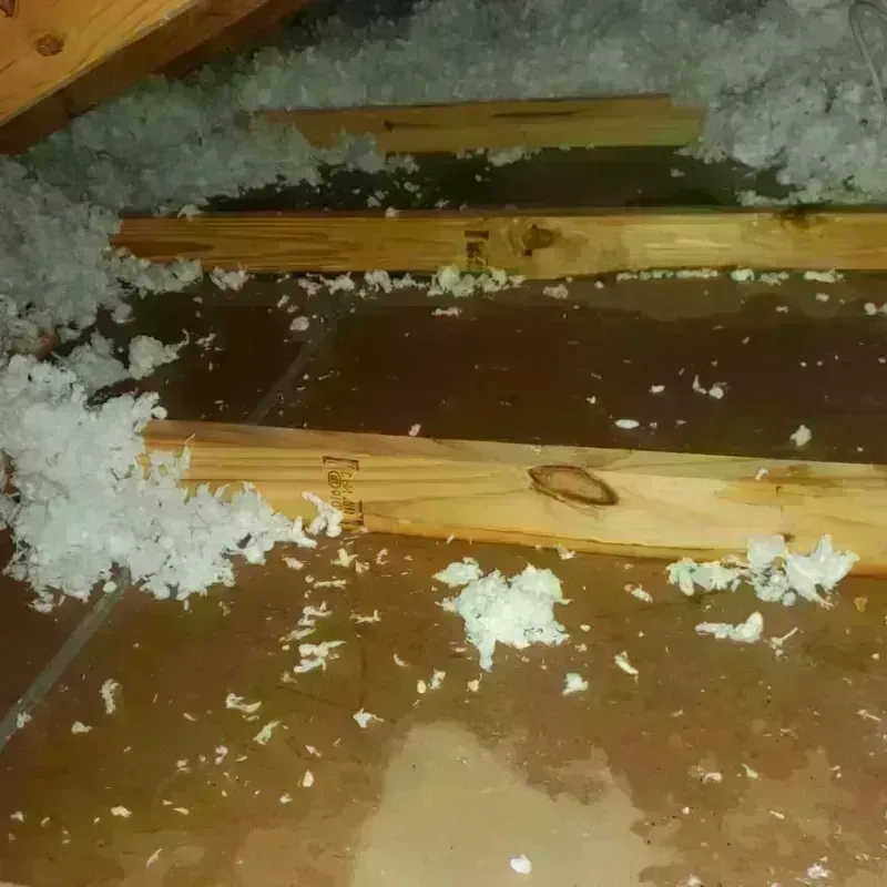 Attic Water Damage in Montevideo, MN