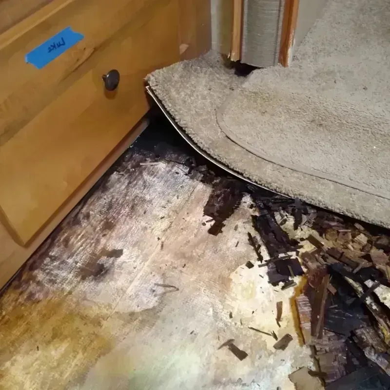 Wood Floor Water Damage in Montevideo, MN